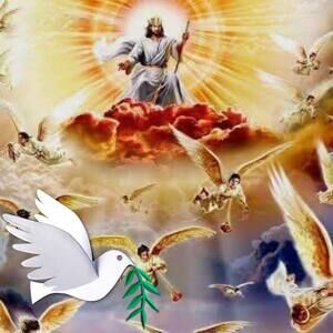 Meet your Posher, Bella